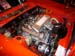 StagOrangeEngine2