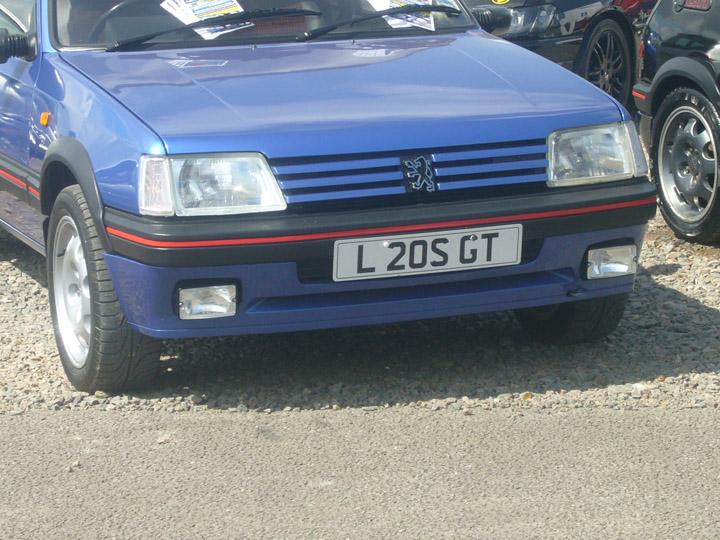 P1010003